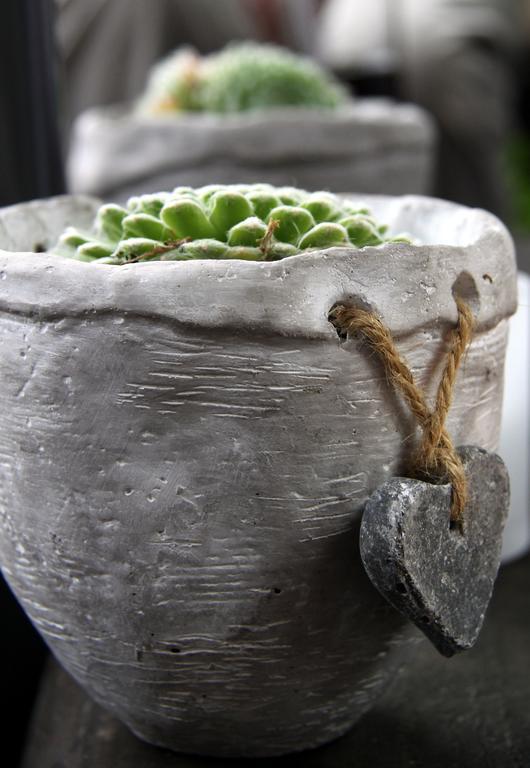 Hotel Buxus Gasselte Bagian luar foto